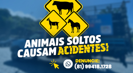 Campanha de proteção animal